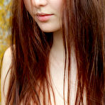 Pic of Nalli A-Dedilias Dolce