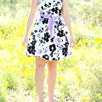 Pic of Astronomical gorgeous blonde alison angel divest... at Young Ass Pics