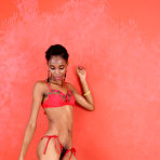 Pic of Tara in Tara in exotic and hairy