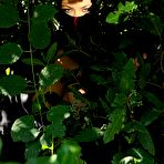 Pic of Shione Cooper in Busty ninja is posing to tease you