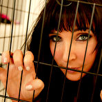 Pic of Gallery of  - HD Porn, Hardcore Teen Sex Movies - Porn Pros