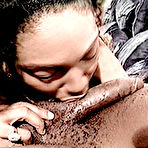Pic of Just Ebony Sex