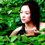 Pic of Zhang Ziyi