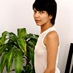 Pic of Tara in Tara in asians