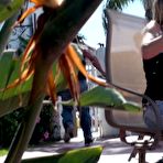 Pic of Gallery of  - 