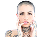 Pic of 
      Leigh Raven gets her gaping ass pounded by a firm cock
    