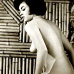 Pic of VINTAGE CUTIES