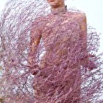 Pic of Erotic, sensual poses in the midst of a barren, exotic landscape. | Nude Art