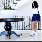 Pic of My Favorite Little Twerking Black Bunny Video - Porn Portal