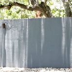 Pic of Home Is Where the Sex Is Video - Porn Portal