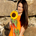 Pic of Best Lustful sunflower by http://nudeteenorgy.com/