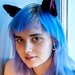Pic of Best Blue kitten by http://nudeteenorgy.com/