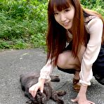Pic of Sexy Asian Pornstars Pics thai chicks and big cocks interracial asian fucking