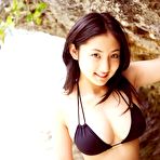 Pic of Pink Dolphin @ AllGravure.com