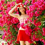 Pic of Thick asian girl @ korea and japanese girl sex picture