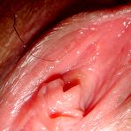 Pic of Sexy Asian Pornstars Pics thai chicks and big cocks interracial asian fucking