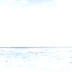 Pic of Thick asian girl @ korea and japanese girl sex picture