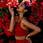 Pic of Angel Constance - Playboy Plus