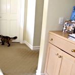 Pic of Young brunette can't get enough this big cock