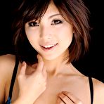 Pic of JAV Idol Azumi Hanasaiki, Anri Hoshizaki, nao., Yu Shiraishi and Megumi Haruka, The Collection Of Debut Videos, 春咲あずみ, 星崎アンリ, nao., 白石優 遥めぐみ, デビュー作アンソロジー