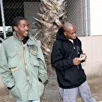 Pic of A group of perverted black males are working dicks satisfying insatiable Annette Schwarz