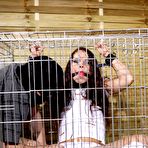 Pic of Lad frees brunette to penetrate her holes - House Of Taboo - PornstarsNaked.com