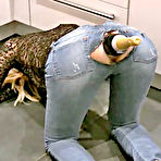 Pic of Sic Flics Extreme Porn at www.sicflics.com