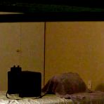 Pic of Homemade voyeur camera taping amateur girl riding the Sybian at AmateurPorn.me