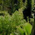 Pic of Hot Model Takes BBC Video - The Pornstar