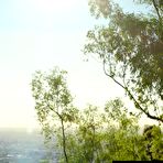 Pic of Young Beauty is in Trouble Video - The Pornstar