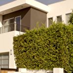 Pic of Beautiful Girl Punished by BBC Video - The Pornstar