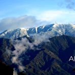 Pic of Brunette Babe Takes Trio of BBCs Video - The Pornstar