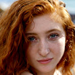 Pic of Corsen Gilroy Food Truck Redhead Zishy / Hotty Stop