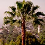 Pic of Sexy Student and Black Producer Video - The Pornstar