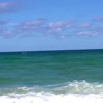 Pic of Boobs In Paradise Video - The Pornstar