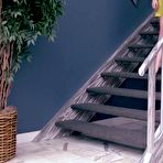 Pic of Hot Afternoon Video - The Pornstar