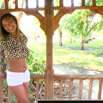 Pic of Seducing Sierra Video - The Pornstar