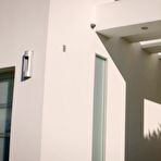 Pic of Blonde Babes Enjoy BBC Foursome Video - The Pornstar