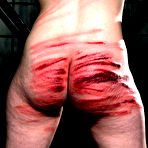Pic of BDSM Review – Experiment from Elite Pain – In BDSM