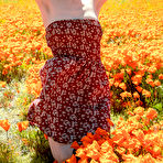 Pic of Emily Bloom in the Warm Sun