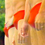 Pic of Aussie Speedo Guy is a Bisexual Aussie Guy who loves speedos.