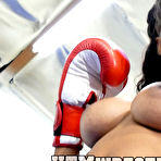 Pic of  Ebony Boxer September Reign by Hit the Mat