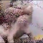 Pic of 18 Brutal Hatefuck Compilation! - EPORNER