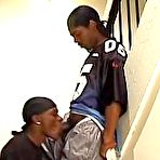 Pic of EbonyShaft.com - 
The world's best looking ebony guys are waiting for you inside!