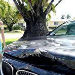 Pic of Sis Alicia Williams Pays for Car Repairs with Pussy | Cheating Sluts