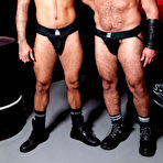 Pic of Harnessed, Hairy And Hard Fuckers