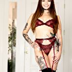 Pic of Vanessa Vega - Oiled In Lingerie 2 - Scene 4 - My Free Pornstars