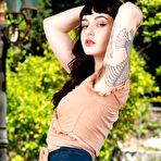 Pic of Ava D'Amore - Hairy Women - Top Women With Hairy Nipples