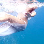 Pic of Underwater Erotic Show