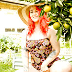 Pic of DARCY CHANCE FRESHLY SQUEEZED